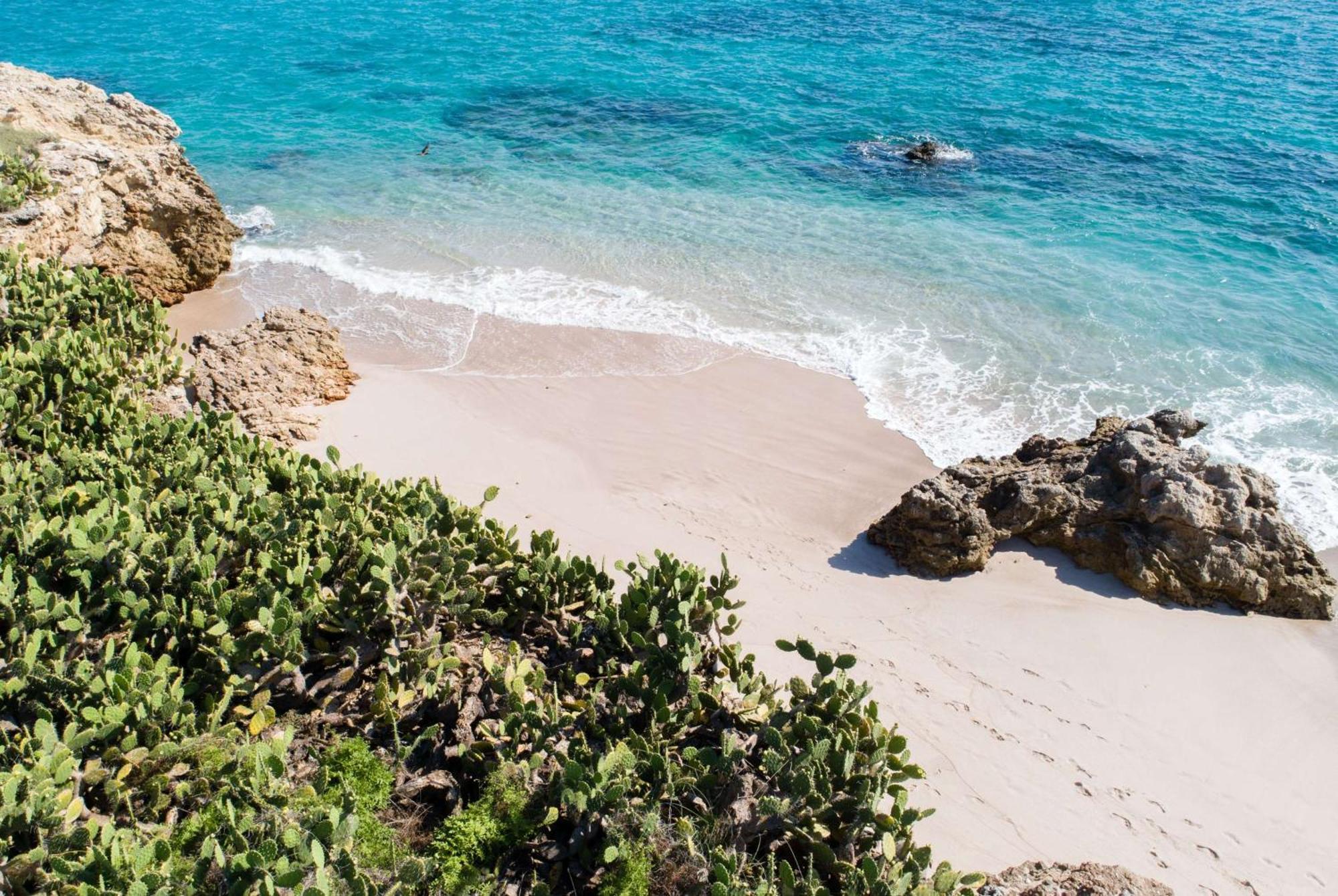 Wyndham Alltra Vallarta, All-Inclusive Resort Nuevo Vallarta Dış mekan fotoğraf